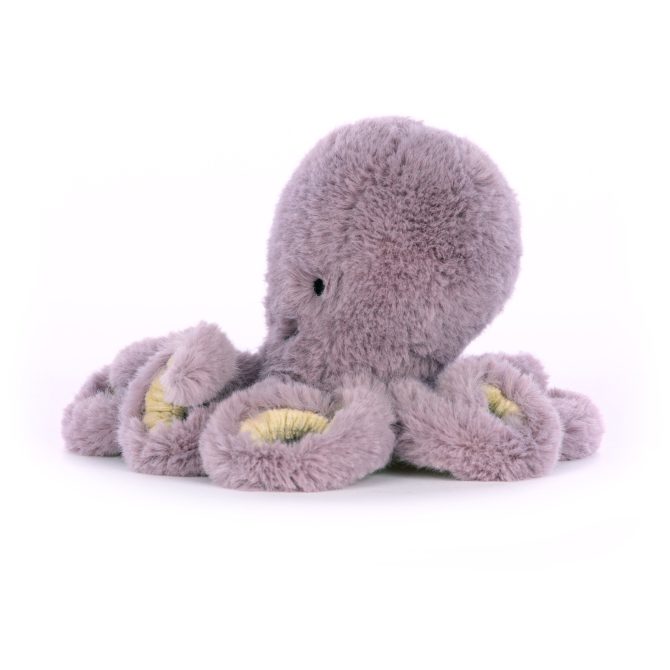 Maya Octopus Baby