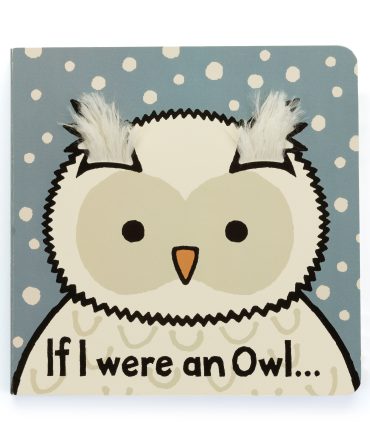 If I Were an Owl Board Book