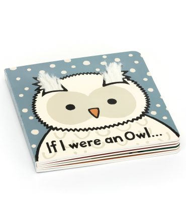 If I Were an Owl Board Book