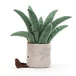 Amuseable Aloe Vera Big Potted Plant