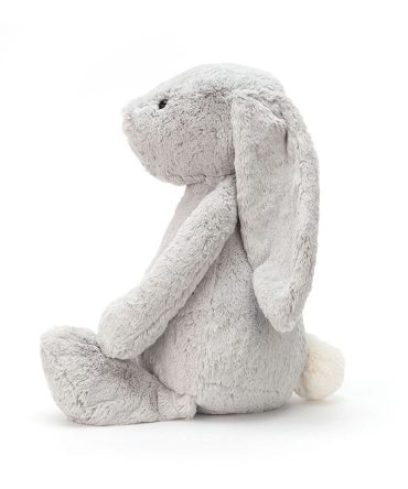 Bashful Grey Bunny Really Big