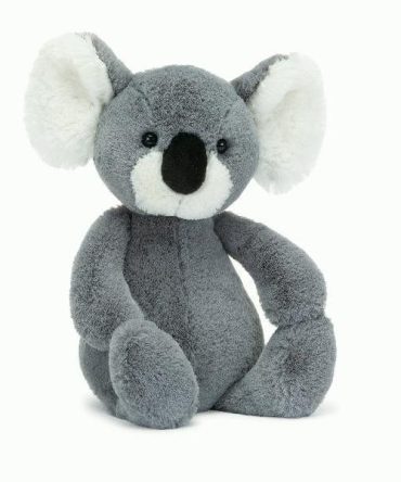 Bashful Koala Original (Medium)