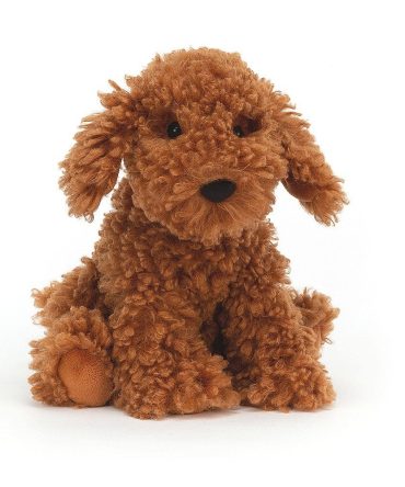 Cooper Labradoodle Dog