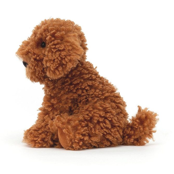 Cooper Labradoodle Dog