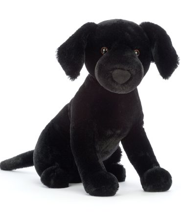 Pippa Black Labrador