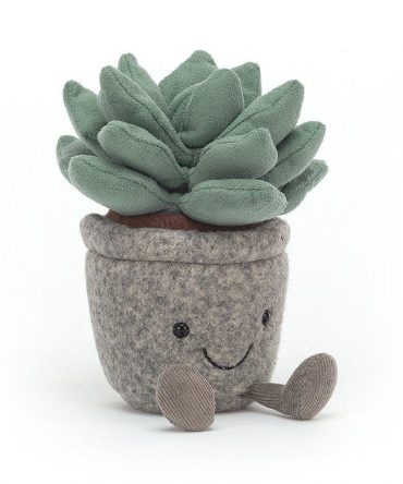 Silly Succulent Azulita